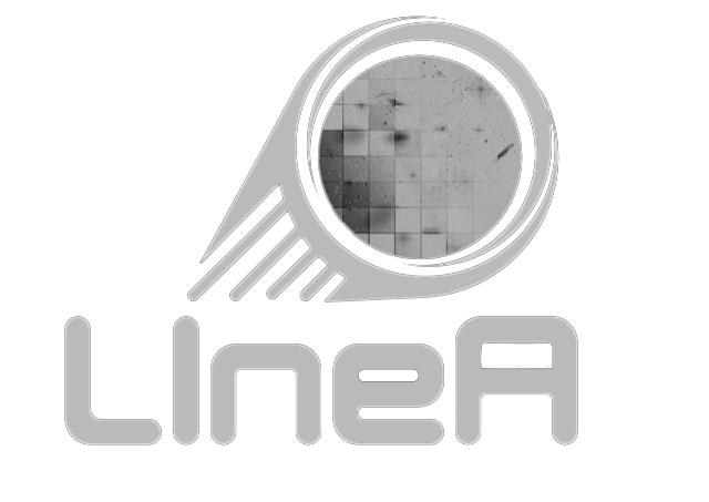 Logo LIneA